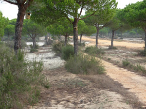 Vistas de la ruta